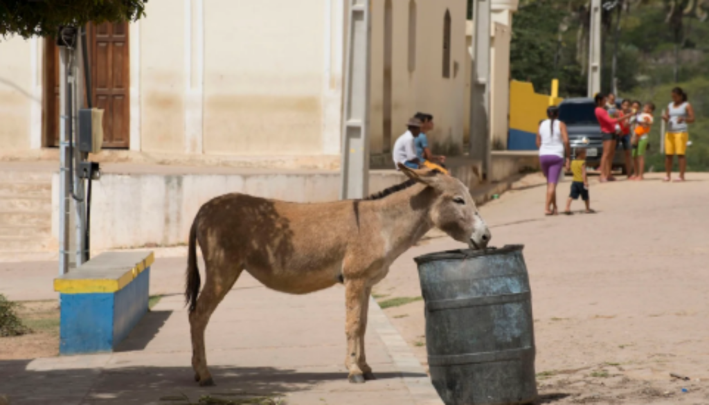Captura-de-tela-2026-04-28-143144