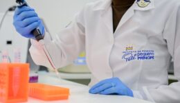 Instituto de Pesquisa Pelé Pequeno Príncipe completa 20 anos de atuação em ciência e cuidado