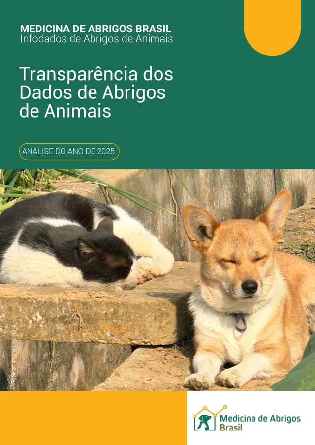 Relatório inédito revela pressão crescente sobre abrigos de