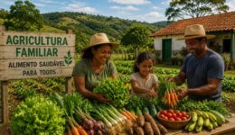 AgriculturaFamiliarPronaf