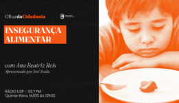 Capa youtube e portal (6)