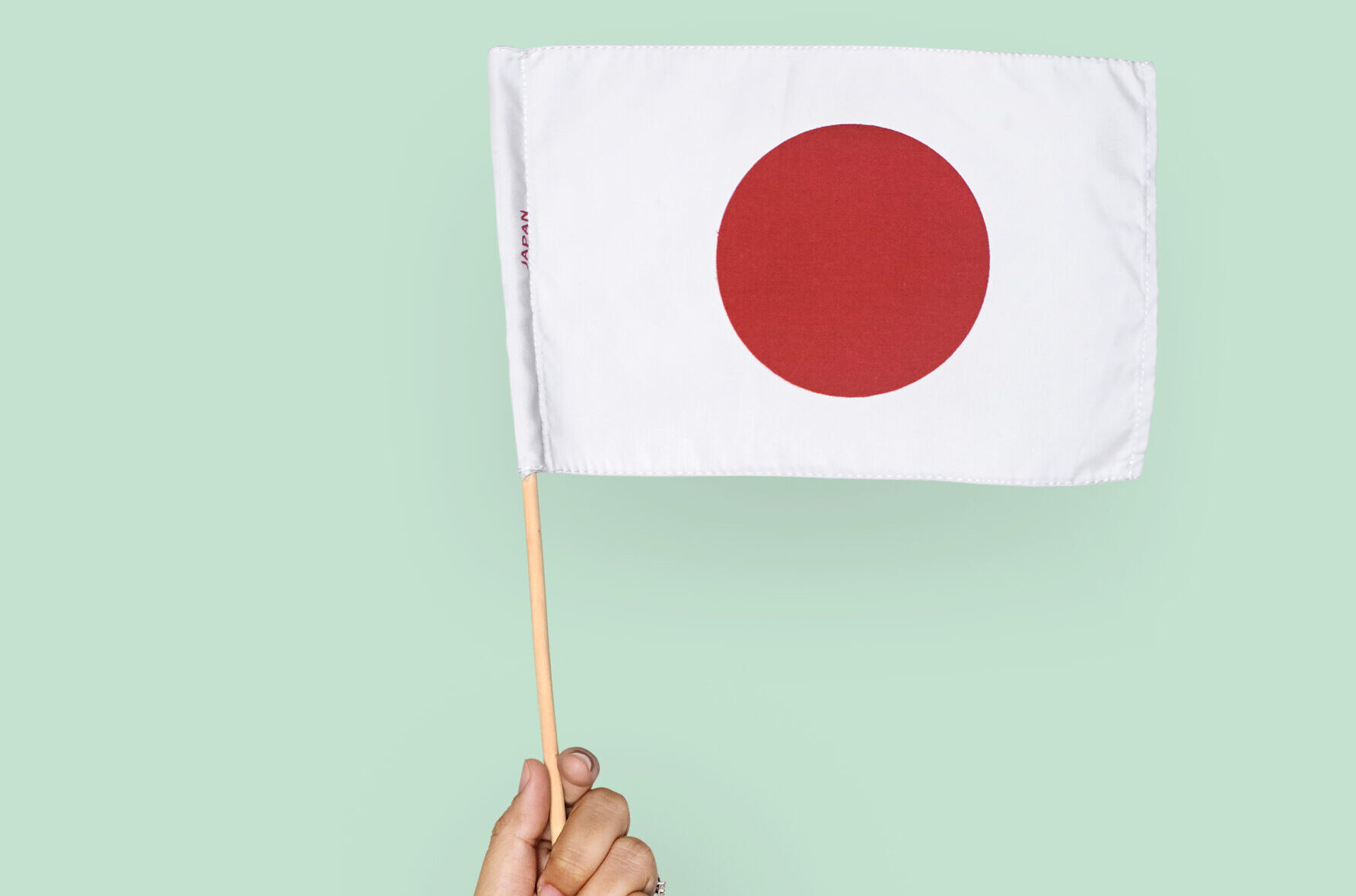 Seleção das ONGs: conheça 5 organizações sociais do Japão