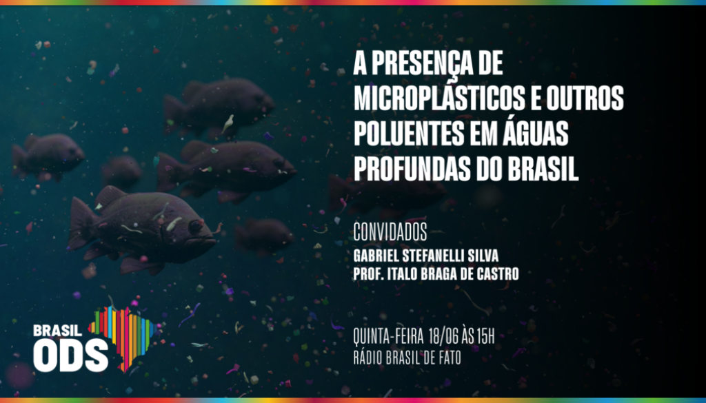 O fundo do mar está mais próximo das atividades humanas do que se imagina