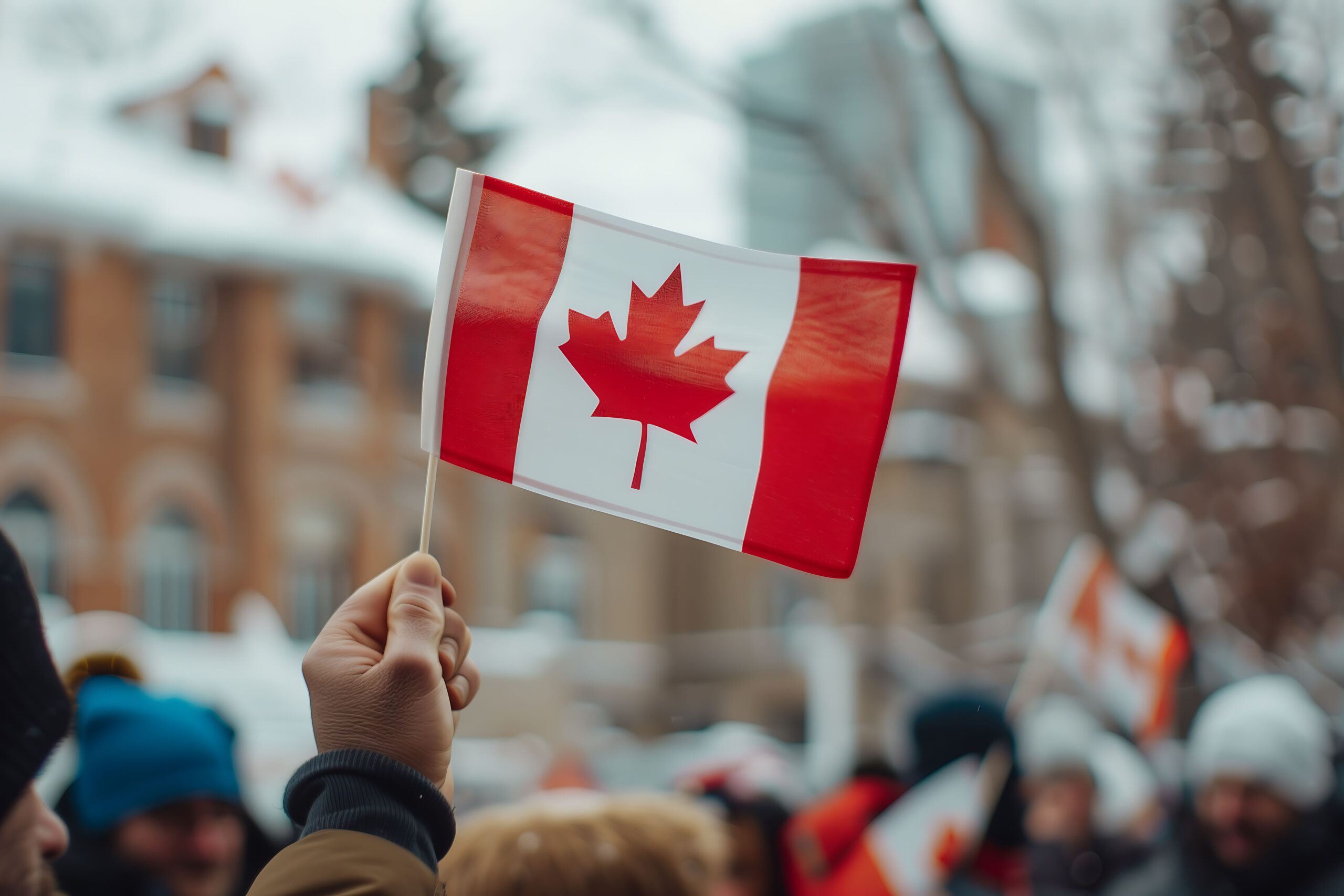 Seleção da ONGs: conheça 6 organizações sociais importantes do Canadá