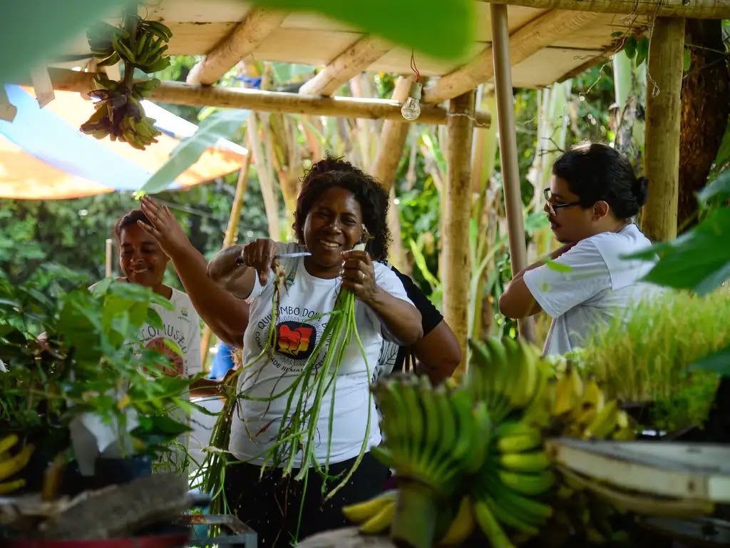MDA lança edital de até R$ 500 mil para fortalecer a agricultura familiar e a sociobiodiversidade