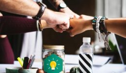 Instituto Sabin abre inscrições para programa de aceleração de negócios de impacto social