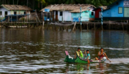 Fundo Ecos lança edital de R$ 3,3 milhões para fortalecer iniciativas na Amazônia Legal